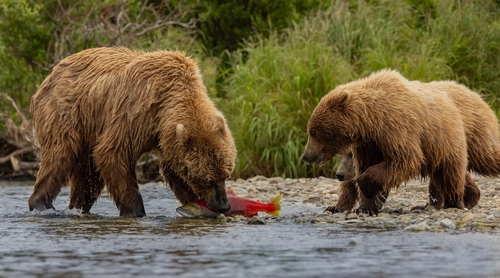 Destinations